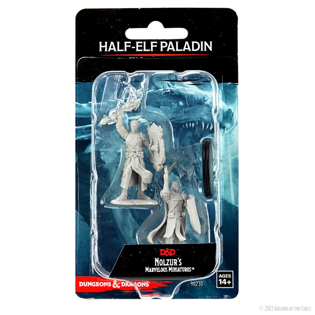 Dungeons & Dragons Half-Elf Paladin