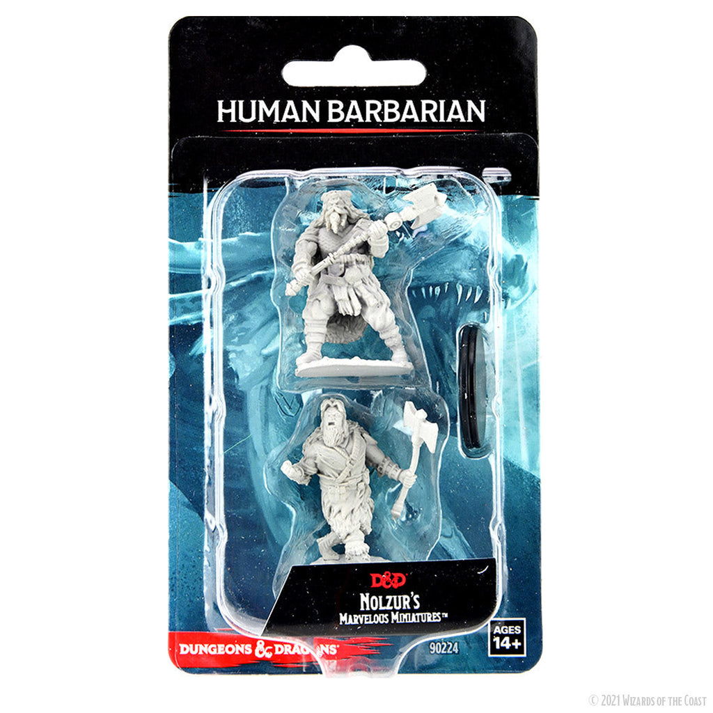 Dungeons & Dragons Human Barbarian Male