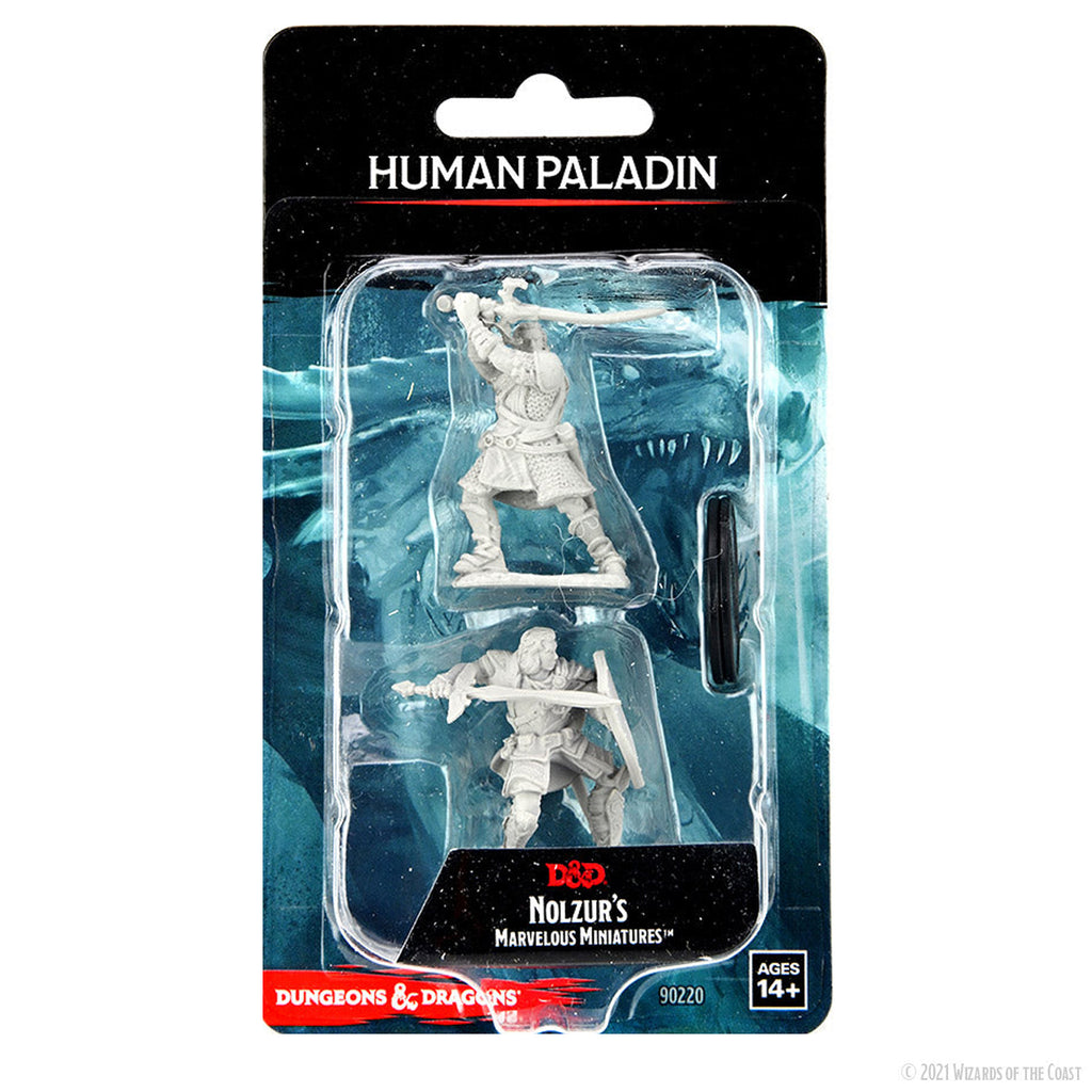Dungeons & Dragons Human Paladin Male
