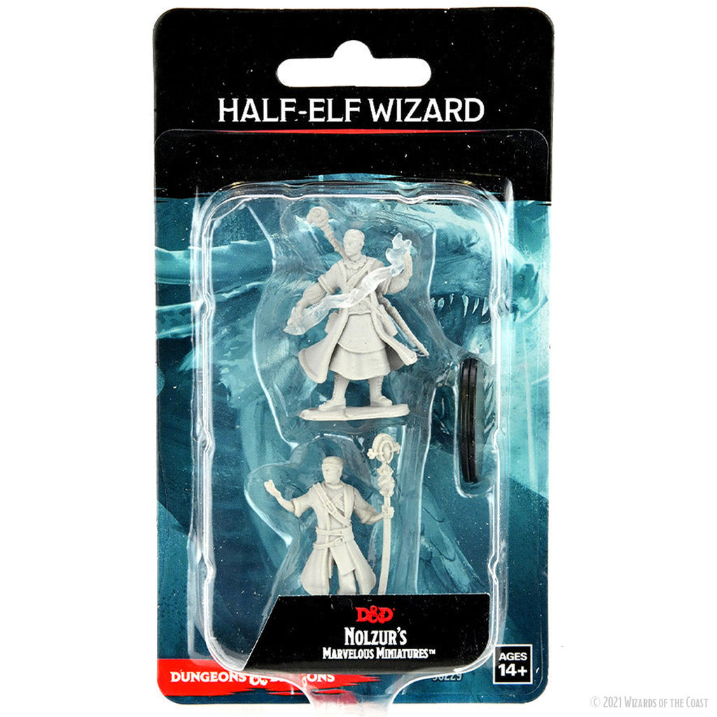 Dungeons & Dragons Half-Elf Wizard