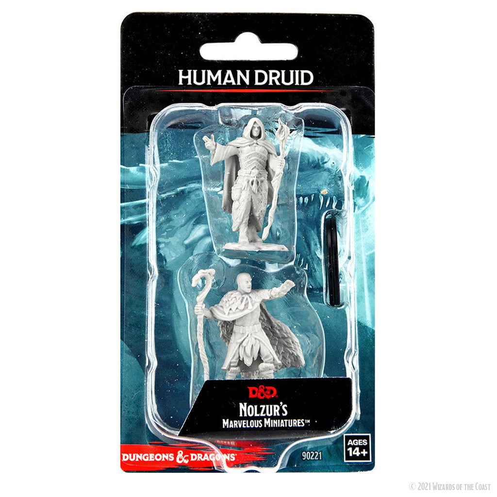 Dungeons & Dragons Human Druid Male